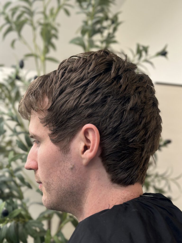 Mullet, Herrenhaarschnitt